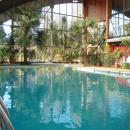 CABAAS AINAHUE, Cabañas / Motel, Hualqui, Entorno Campo