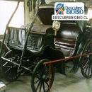 MUSEO STOM, Chiguayante, Atractivo Turístico