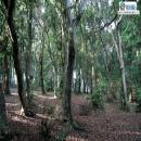 PARQUE TUMBES, Talcahuano, Atractivo Turístico