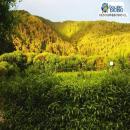 RESERVA NACIONAL ISLA MOCHA, Lebu, Atractivo Turístico
