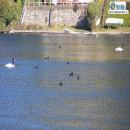 Laguna Chica, San Pedro de la Paz, Atractivo Turístico