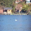 Laguna Chica, San Pedro de la Paz, Atractivo Turístico